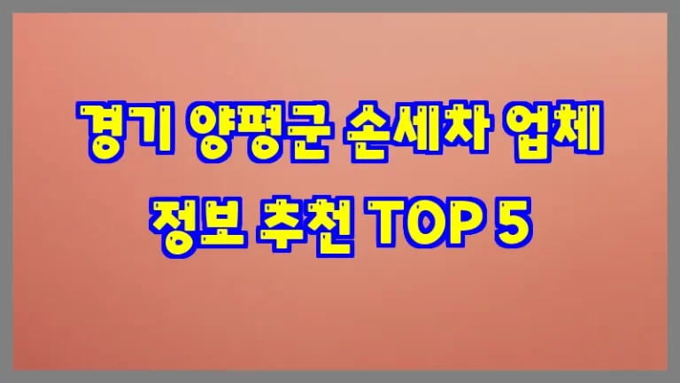 경기 양평군 손세차 업체 정보 추천 TOP 5