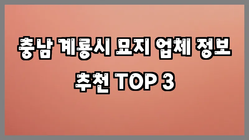 충남 계룡시 묘지