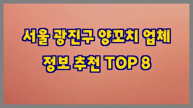 서울 광진구 양꼬치 업체 정보 추천 TOP 8