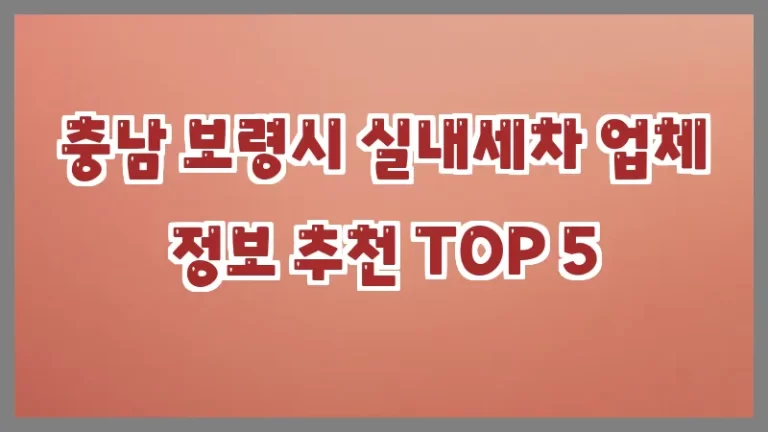 충남 보령시 실내세차 업체 정보 추천 TOP 5