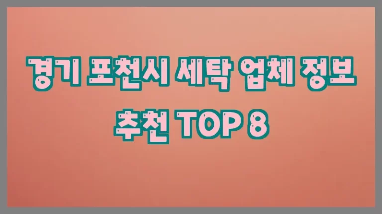 경기 포천시 세탁 업체 정보 추천 TOP 8