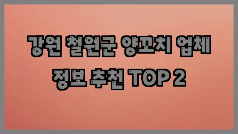 강원 철원군 양꼬치 업체 정보 추천 TOP 2