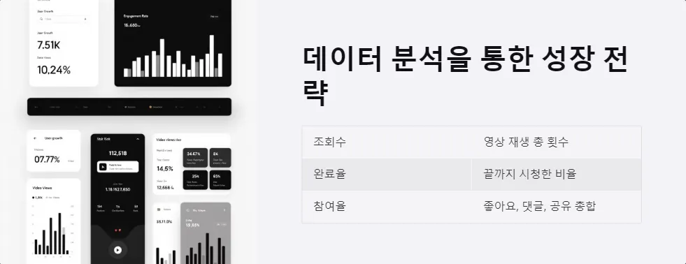 틱톡 계정 성장 비결 개인정보 보호_5