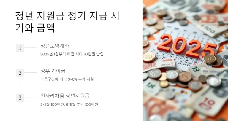 2025년 청년 지원금 정기 지급 여부와 신청 방법 총정리