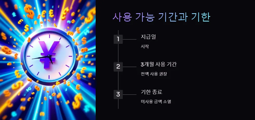 긴급재난지원금 사용기한_3