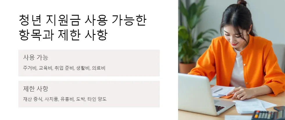 청년 지원금 정기 지급_4