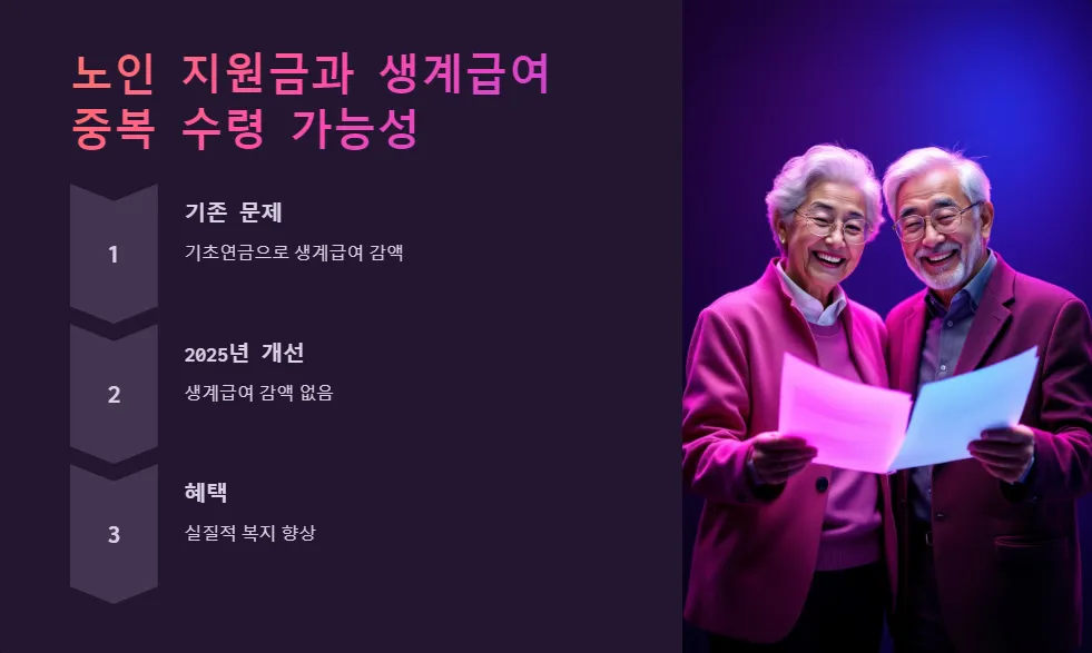 노인 지원금과 복지 혜택 중복 수령_2
