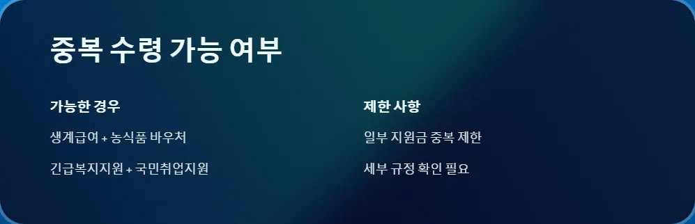 저소득층 지원금_4