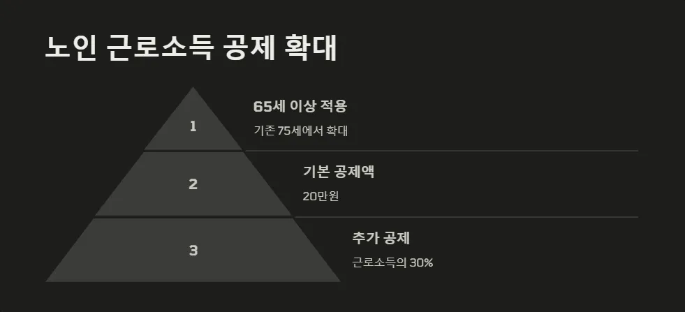 2025년 노인 지원금_5