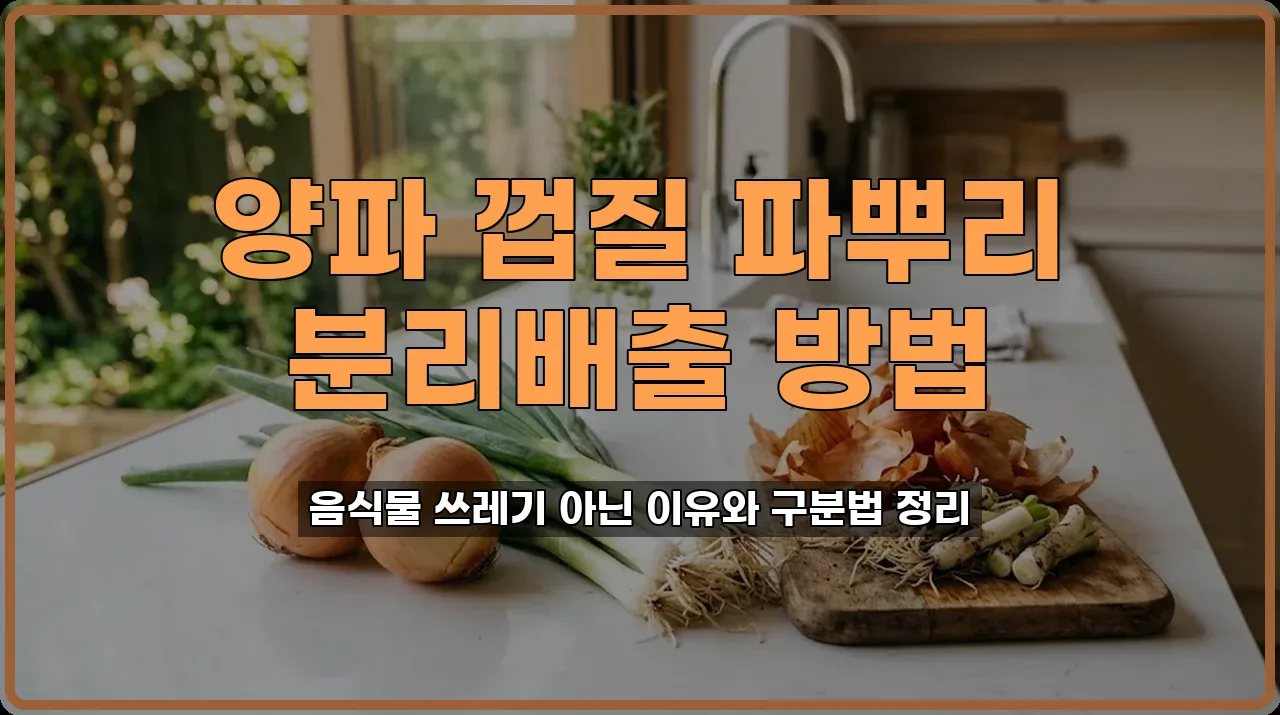 양파껍질