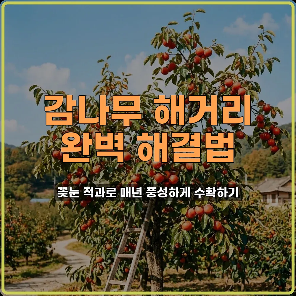 해거리방지