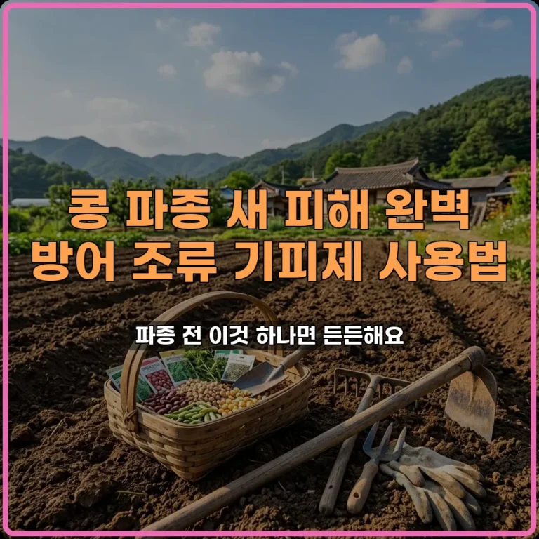 콩농사
