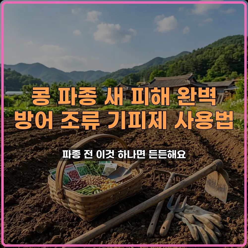 콩농사