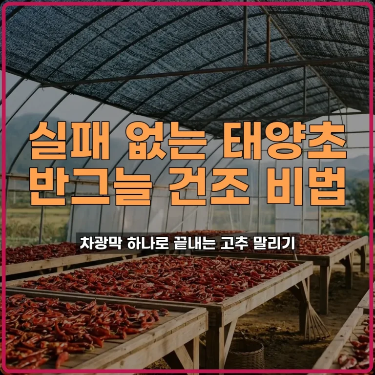 건고추 태양초 하우스 차광막 반그늘 건조