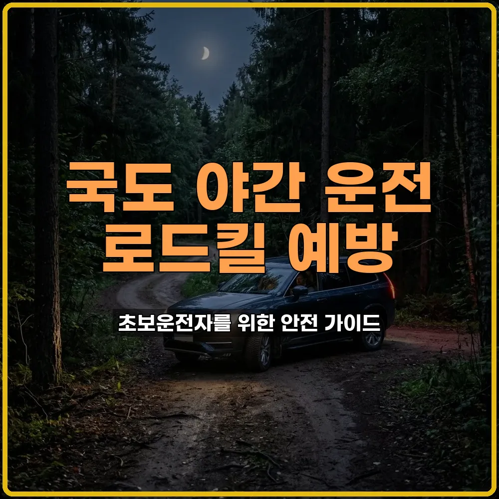 감속운전