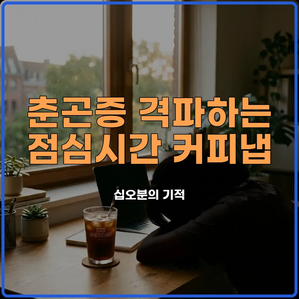 춘곤증 커피 냅