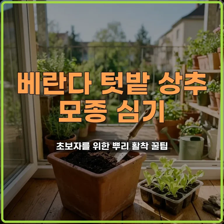 상추 모종 심을 때 뿌리